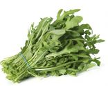 plantes anti-chute - roquette