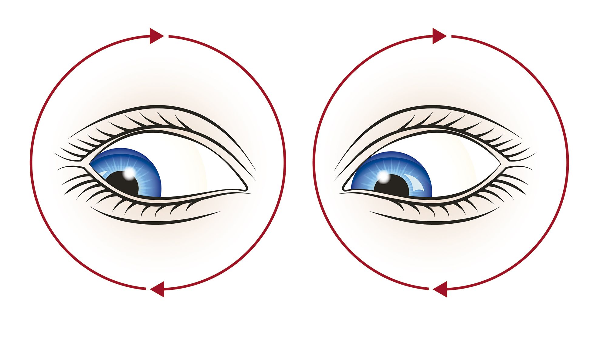 exercices de vue