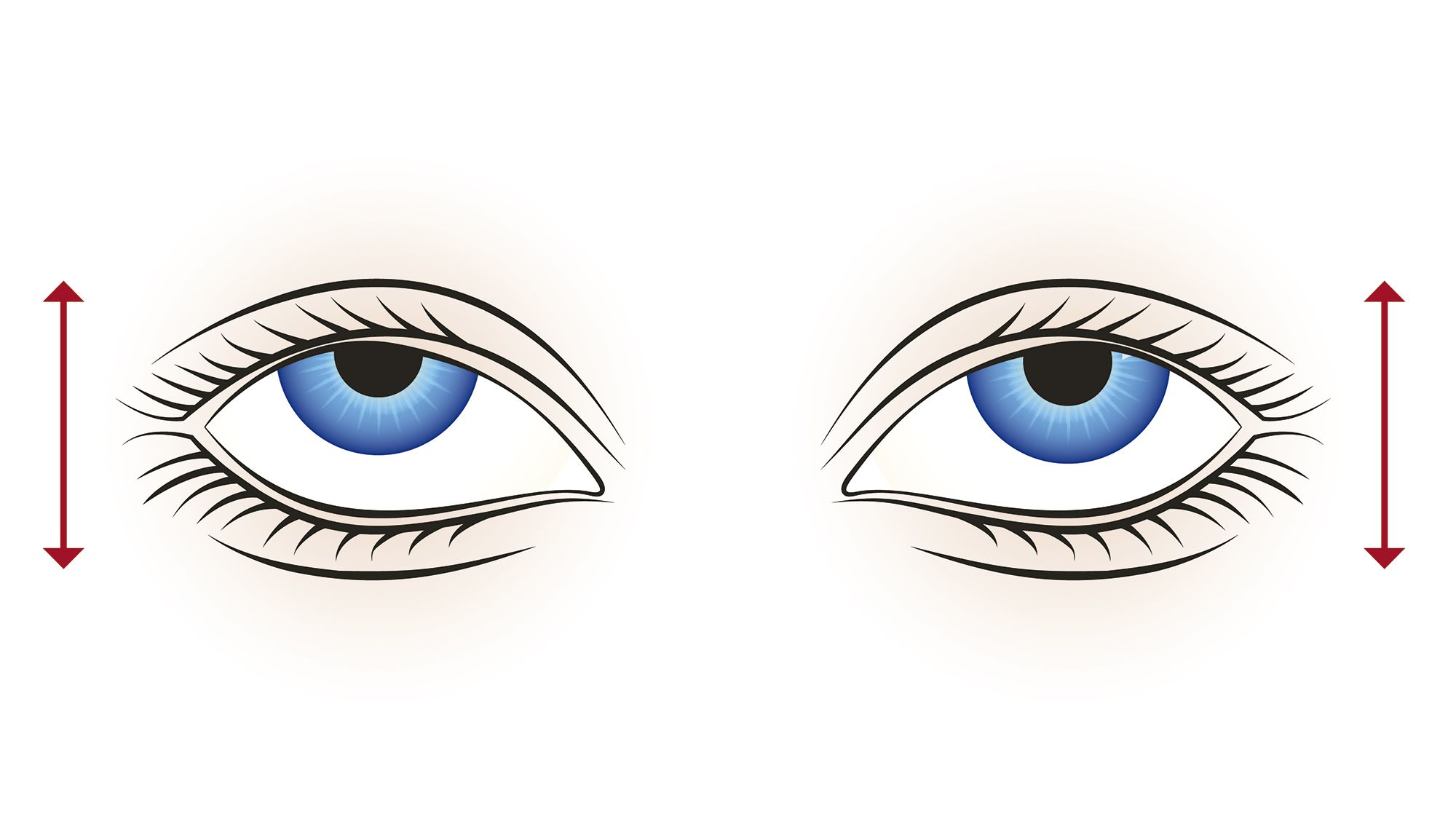 exercices de vue