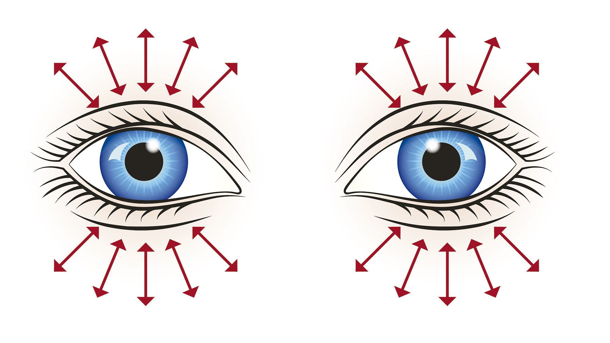 exercices de vue