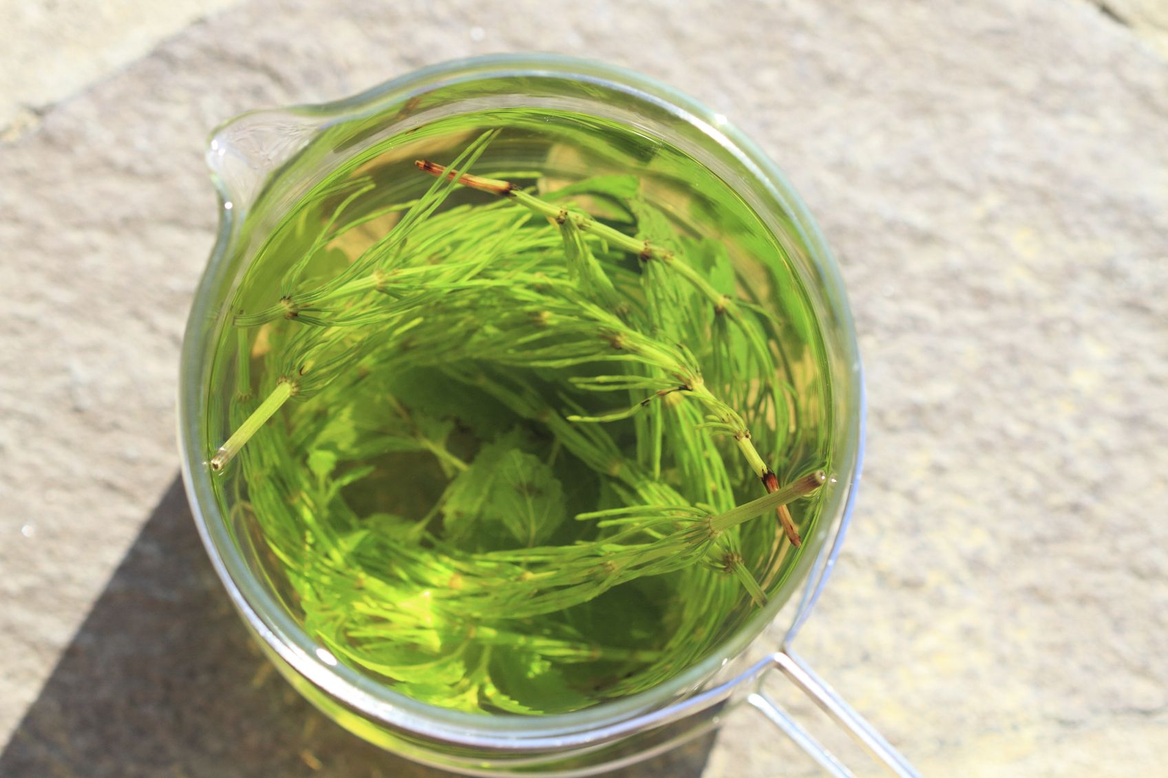 infusions de cystite