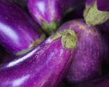Infusions céphalées - aubergine