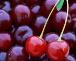 Infusions de maux de tête - queues de cerise