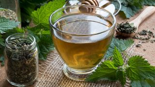 Quels sont les bienfaits de l'ortie?