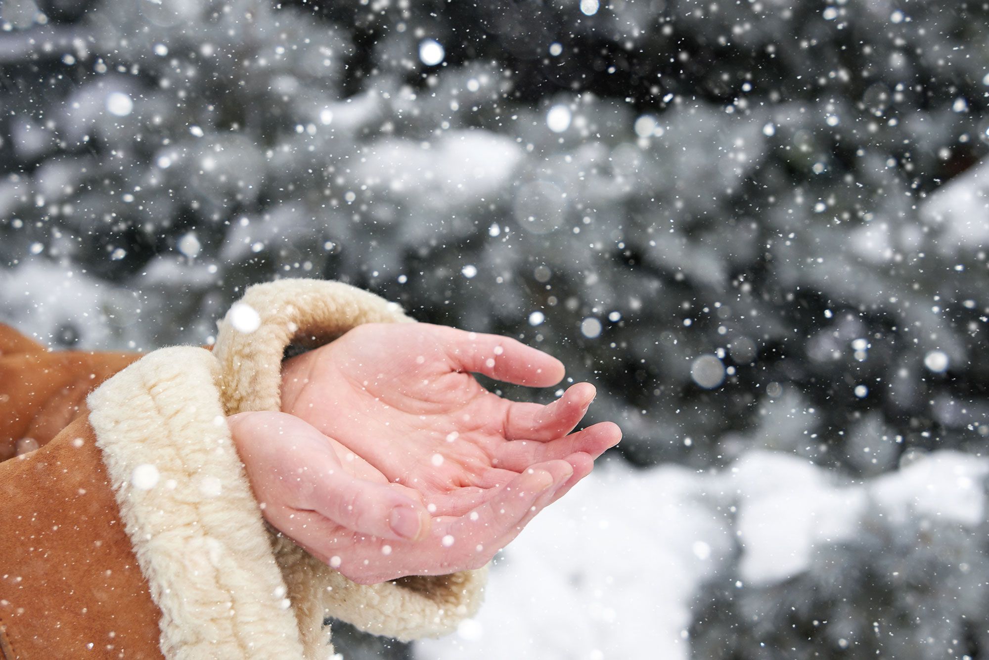 mains de neige