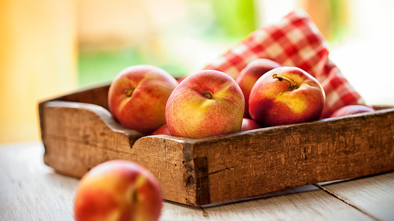 nectarines