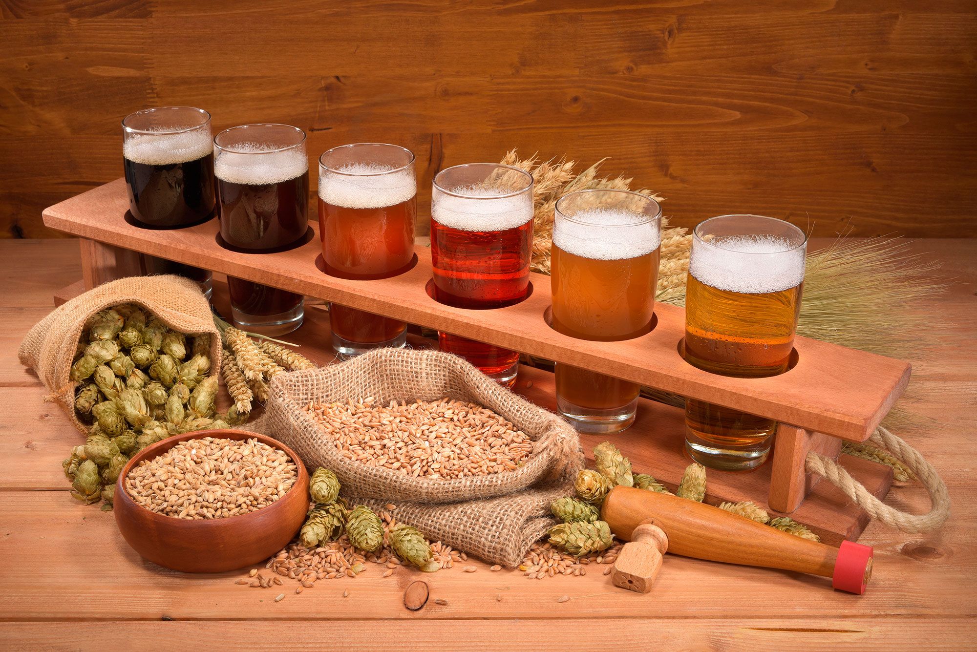 propriétés de la bière
