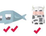 10 conseils d'alimentation d'été - poisson