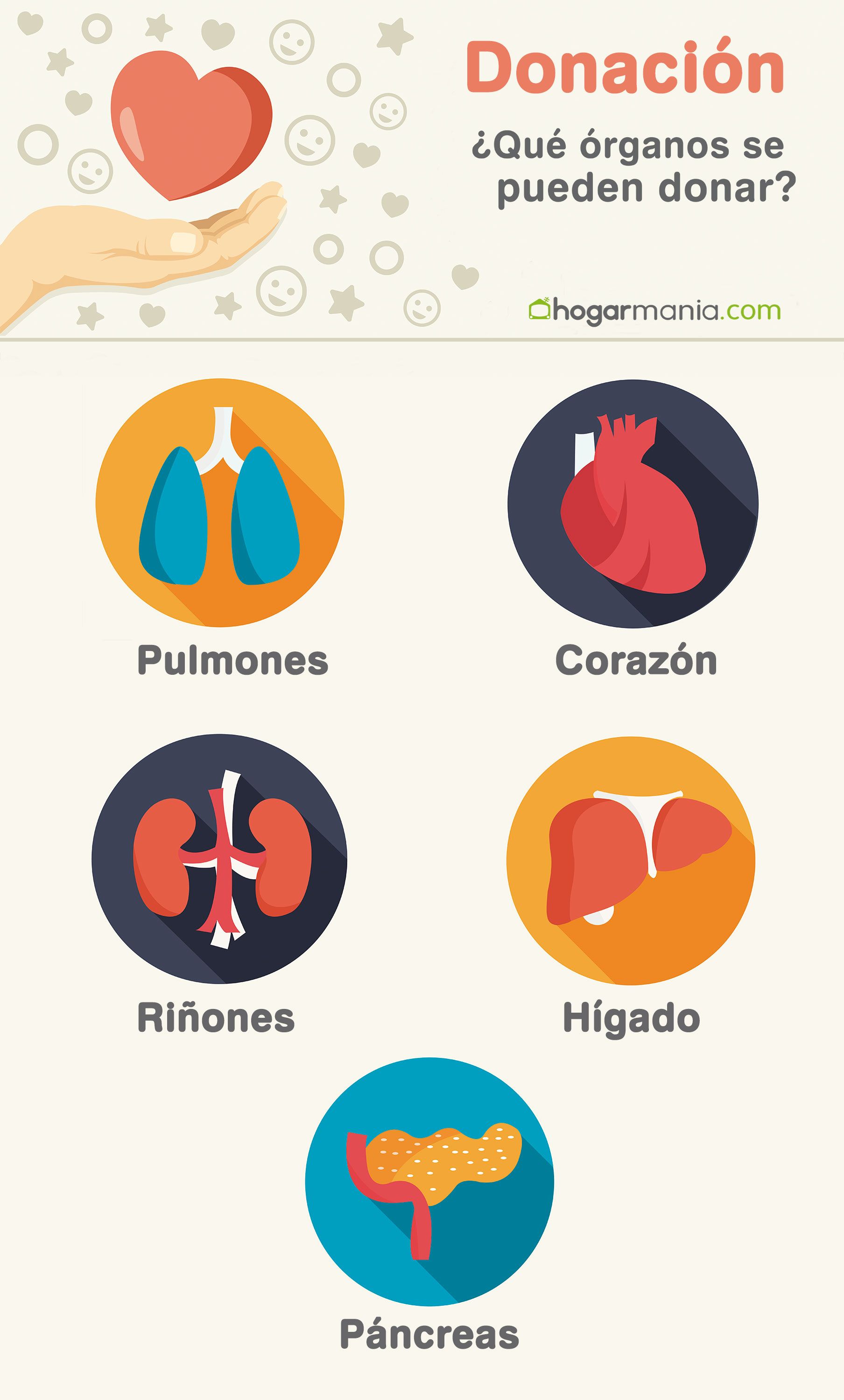 infographie sur la santé du don d & # 39; organes