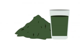 algues bleues vertes