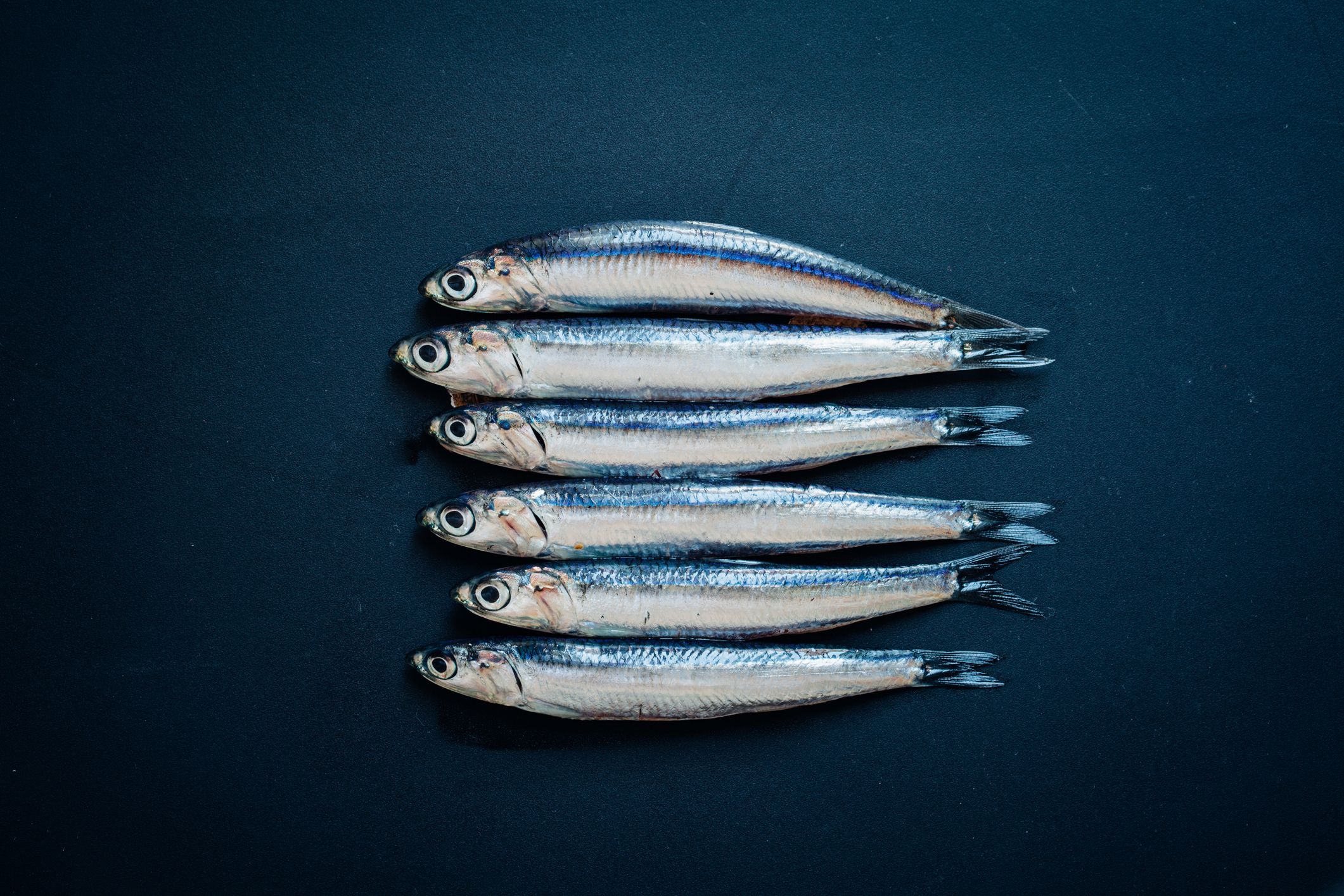 Poisson bleu