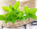 remèdes contre la mauvaise haleine - infusion de menthe 