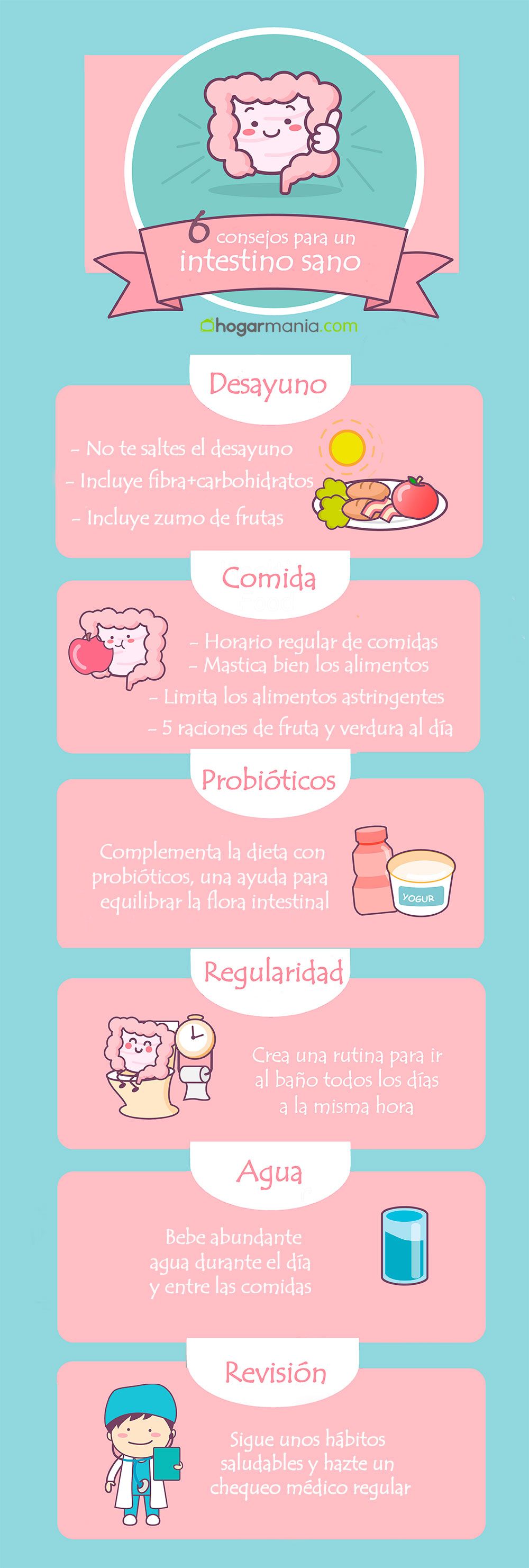 infographie de la santé intestinale