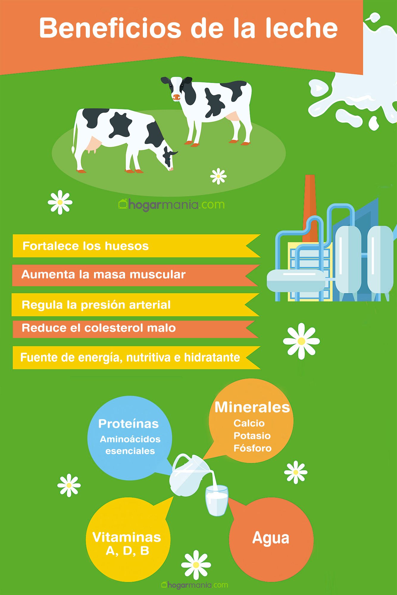 infographie de la consommation de lait