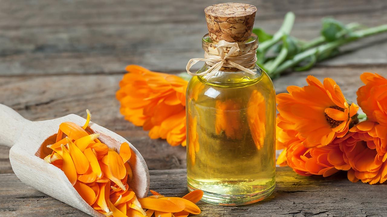 Propriétés du calendula