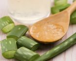 plantes anti-chute - aloe vera
