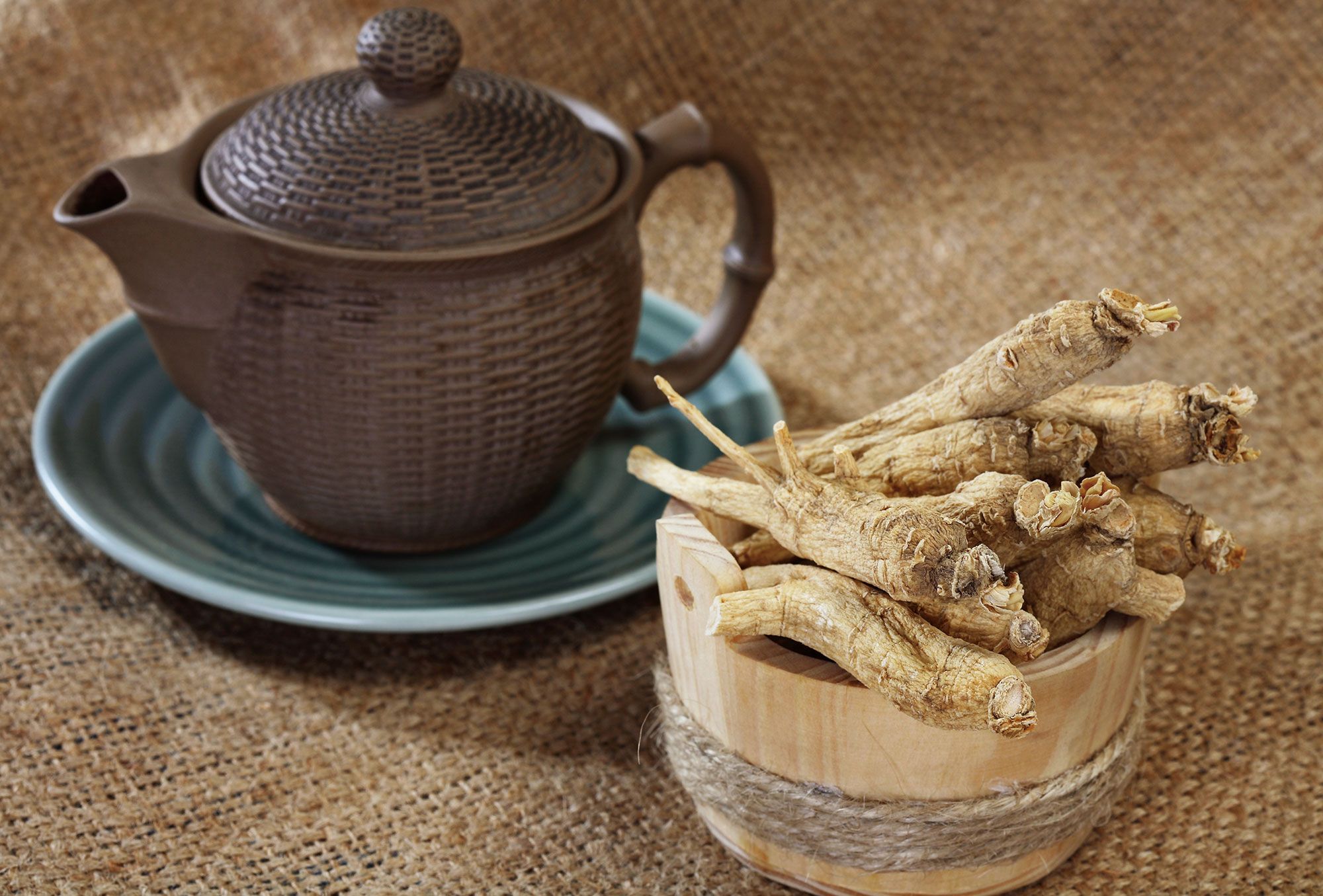 utilisations du ginseng