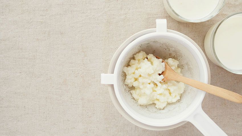 Comment faire du kéfir maison.