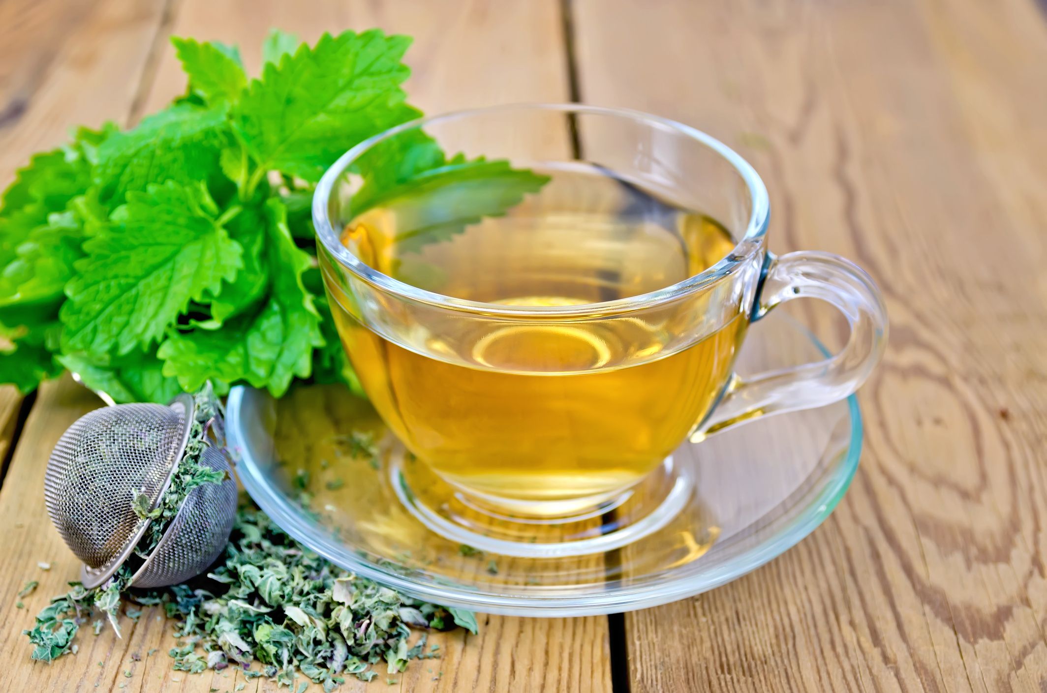 Infusion de mélisse
