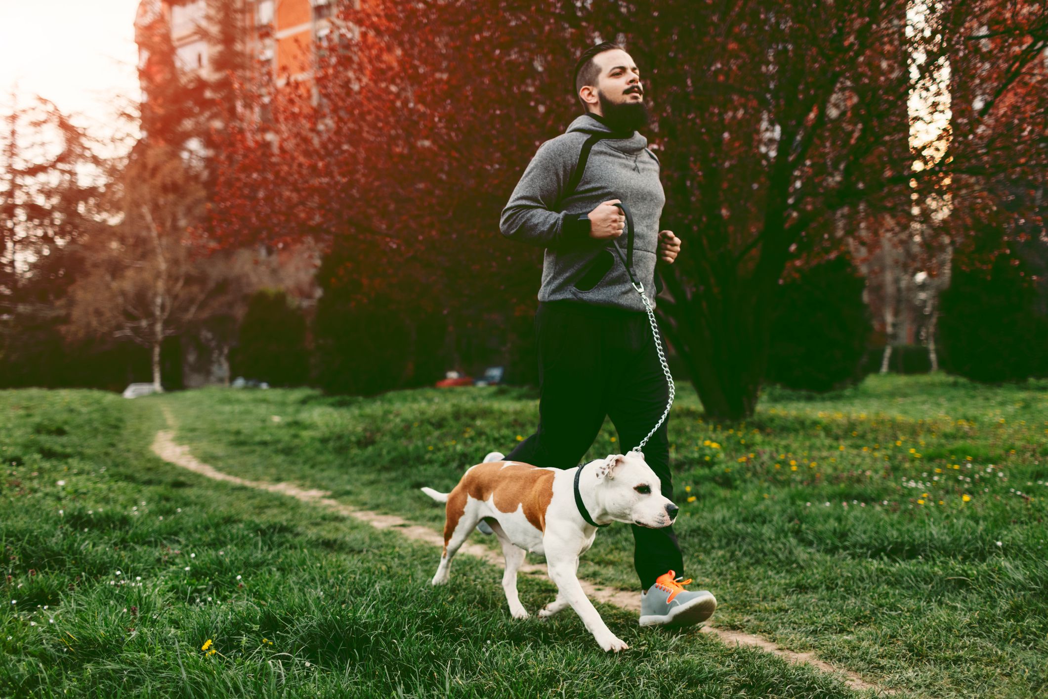 Courir avec votre chien