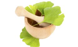 ginkgo