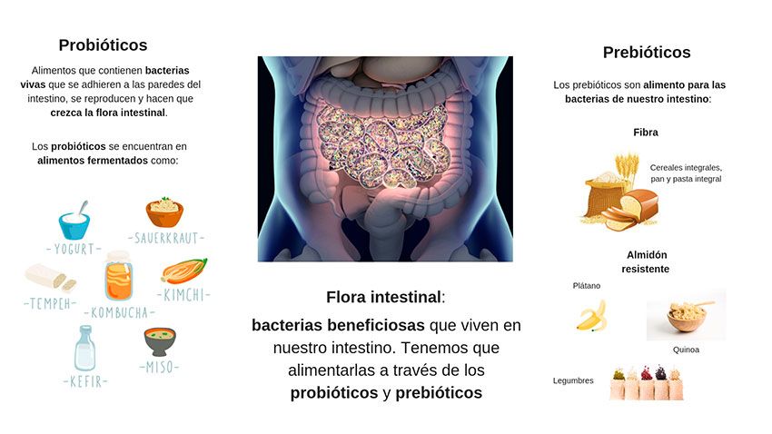 Flore intestinale: probiotiques et prébiotiques. 