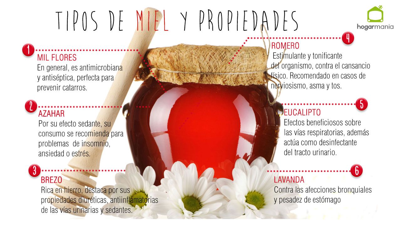 propriétés du miel