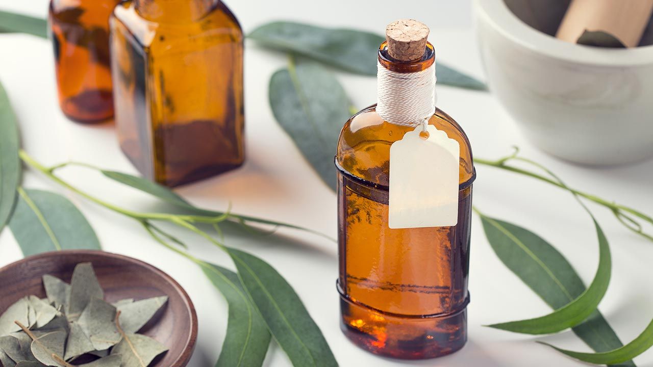 Eucalyptus, plante médicinale contre le rhume et les problèmes respiratoires