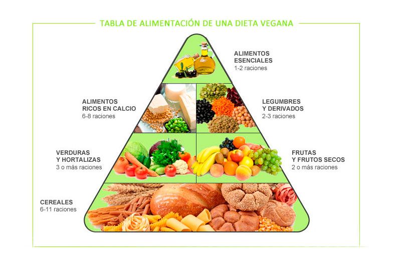 graphique pyramide végétarien